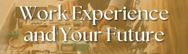 Work experience