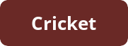 button cricket 1