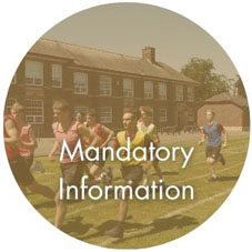 Mandatory information